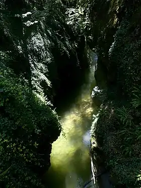 Image illustrative de l’article Gorges du Sierroz