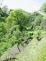 Les gorges depuis le chemin des Côtes.