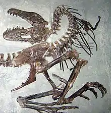 Gorgosaurus.