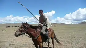 Vue d'une plaine, au premier plan, un jeune homme sur un cheval à la couleur bai