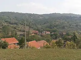 Gornja Slatina (Leskovac)