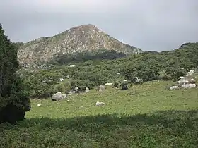Mont Gorongosa