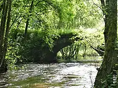 Le pont-Périt recouvert d'herbes.