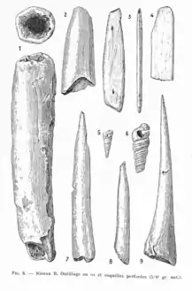 Niveau B, Outils en os et coquillages perforés