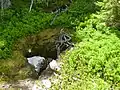 Le gouffre Brutus aboutit au Cernon souterrain en aval de la branche des Ours.