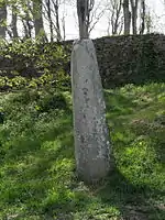 Stèle de l'âge du fer près de la chapelle Saint-Laurent à Lannourec.