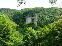 Les ruines des tours de Carbonnières.