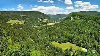 Les gorges depuis le belvédère de la Corniche de Goumois.