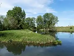 La zone humide au nord-est du bourg de Gout-Rossignol.