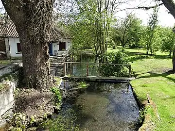 Ruisseau le Gouts au nord-ouest du bourg de Gout-Rossignol.