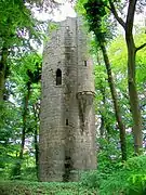 Château de la Tour : fausse tour médiévale.