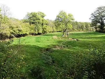 Le cours de la Goze au pont de la RD 65, entre Goze et Gouzougnat.