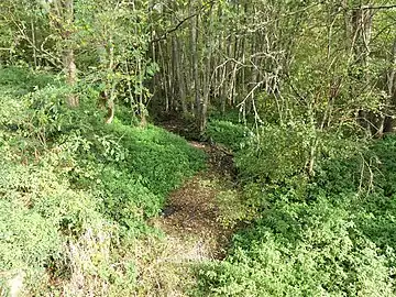 Le lit de la Goze à sec au pont de la RD 7 au nord de Gouzougnat.