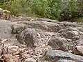 Rochers en grès dans la forêt proche d'Ailhon.