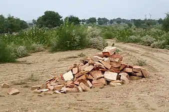 Broussailles et grès rouge au Rajasthan en novembre 2019.