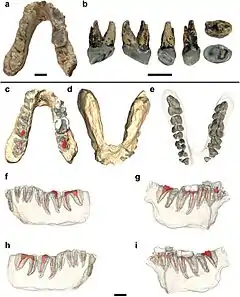 Description de cette image, également commentée ci-après