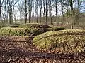 Tumulus près de Toterfout dans la commune de Veldhoven.