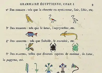 Grammaire égyptienne, chapitre I, p. 9