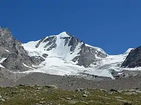 Le Grand Paradis.