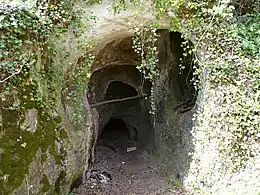 Grotte de Rochereil (ou Rochereuil)