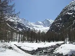 Le massif du Grand-Paradis dans le haut Valnontey.