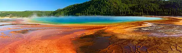 Le Grand Prismatic Spring vu du sol.