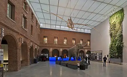 Le « grand carré » d'accueil du Muséum d'histoire naturelle de Toulouse