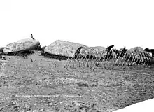 Le Grand menhir brisé d'Er Grah (photographie de Séraphin-Médéric Mieusement, 1893).