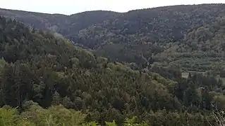 Val de Grandrupt vu depuis les pentes de Bélué.