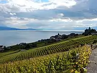 Vue du lac depuis Grandvaux