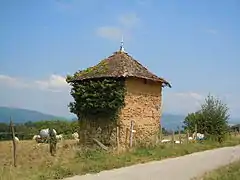 Grange en pisé à Granieu.