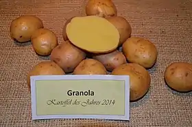 Image illustrative de l’article Granola (pomme de terre)