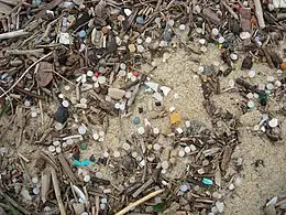 Larmes de sirène sur une plage du littoral français.