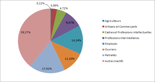 Représentation des catégories socio-professionnelles de la ville de Grasse.