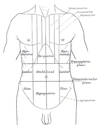 Image illustrative de l’article Douleur abdominale