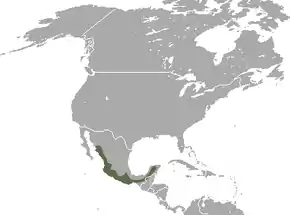 Description de l'image Grayish Mouse Opossum area.png.