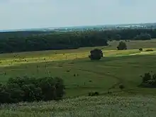 Paysage agricole dans le raïon de Graïvoron, un des 21 raïons de l'oblast.