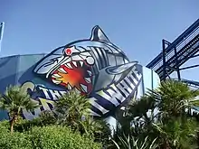 Description de l'image Great White (SeaWorld San Antonio) 1.jpg.