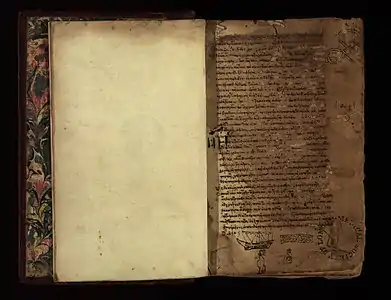 Textes médicaux grecs (collection des manuscrits).