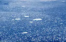 Photographie aérienne et en couleurs de blocs d'iceberg morcelés dérivant sur la surface d'une mer.