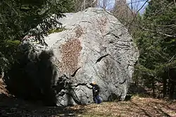 Vue du Green Mountain Giant.