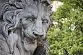 Détail : le lion