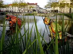 Animaux de la place Napoléon à La Roche-sur-Yon.