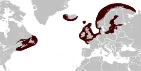 Description de l'image Grey Seal Halichoerus grypus distribution map.png.