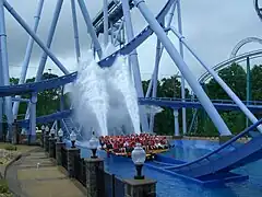 Griffon à Busch Gardens Europe