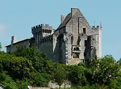 Le château de Grignols.