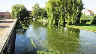 La Laigne à Griselles