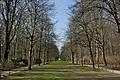 Allée dans le parc Großer Tiergarten