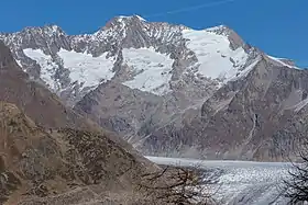 Le Grosses Wannenhorn (au centre), avec le Schönbühlhorn (à gauche) et le Kleines Wannenhorn (à droite), dominant le glacier d'Aletsch, au premier plan.