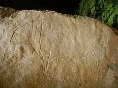 Gravure d'un taureau dans la Grotte du Romito en Calabre qui présente des traces d'occupation humaine s'étendant du Paléolithique supérieur (25 000 ans) au VIIe millénaire av. J.-C.. On retrouve de grandes quantités d'obsidienne, ce qui émet l'hypothèse que la grotte était une base importante pour le commerce de l'obsidienne entre la mer Tyrrhénienne et la mer Ionienne.